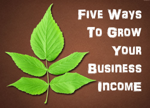 Five Ways to Grow Your Business Income